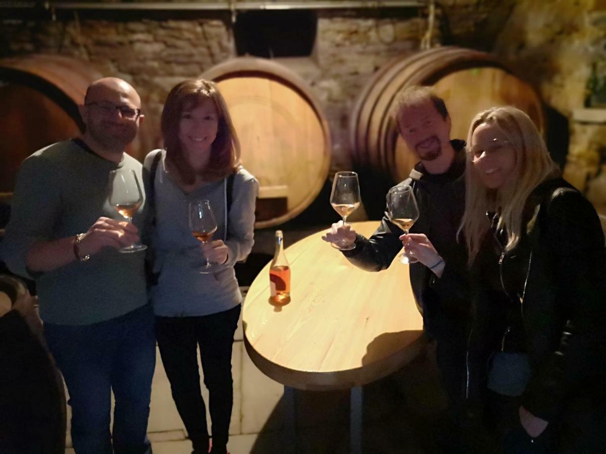 Boutique Rooms & Winery Zorz Vipava Kültér fotó